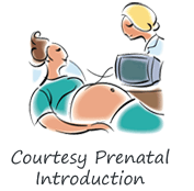 Courtesy Prenatal Introduction